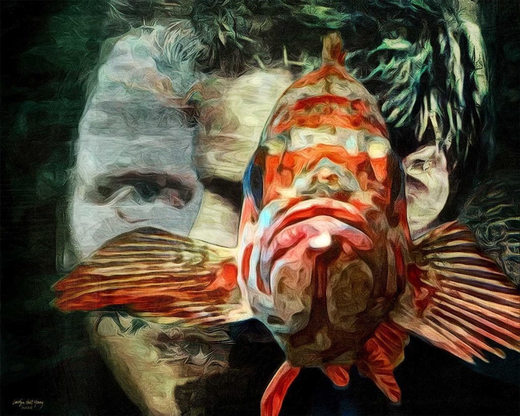 Art 11