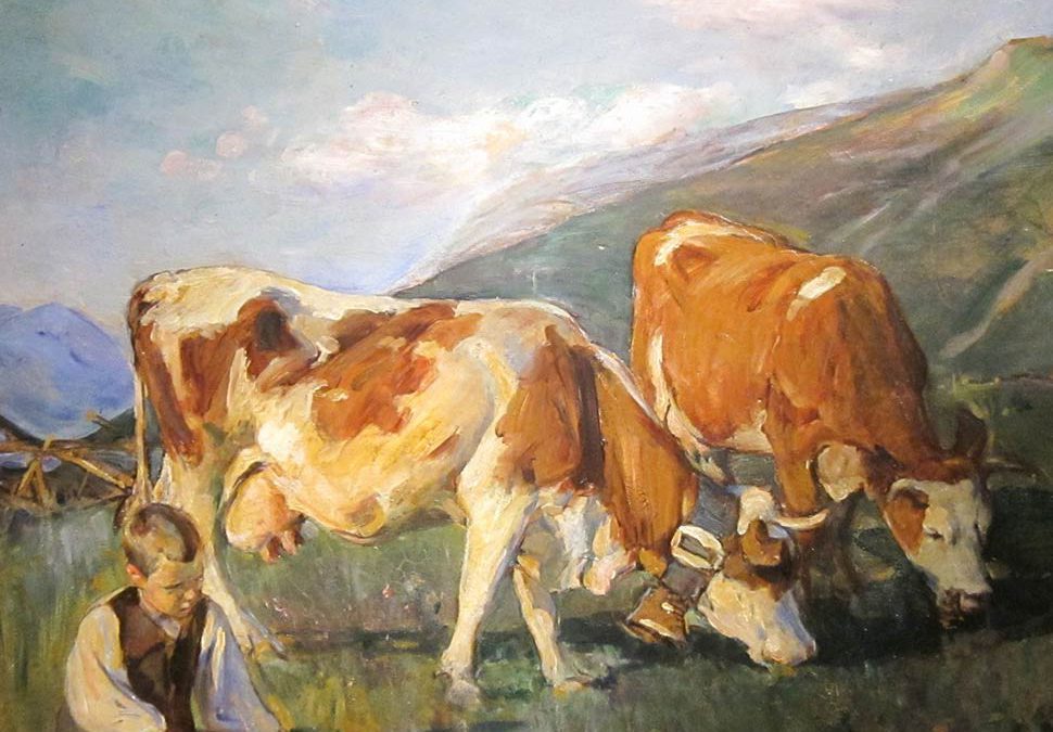 the high meadow